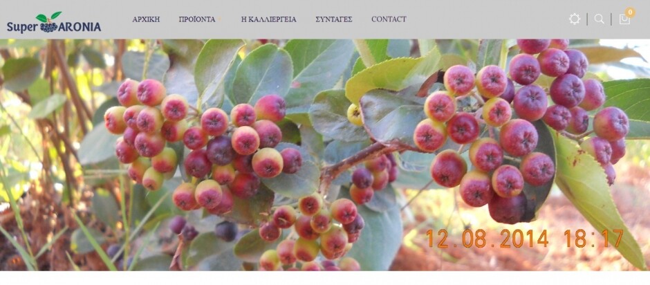 κατασκευη ιστοσελιδας superaronia.gr