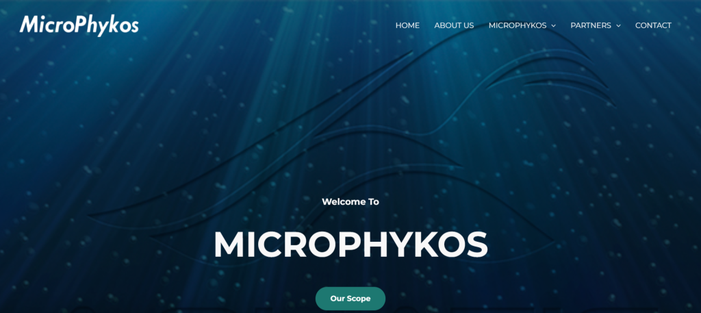 Κατασκευή ιστοσελίδας microphykos.com